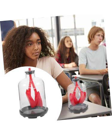 Healifty Lung Breathing Model - Sports & Work Teaching Aid | Plastic & Rubber - Buy Online on GoSupps.com