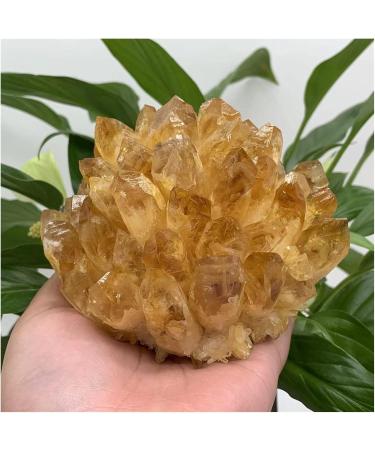 Natural Raw Citrine Stone Crystal Cluster Stones Specimen Home Decoration 1pcs (Size : 650-750g) - Buy Online on GoSupps.com