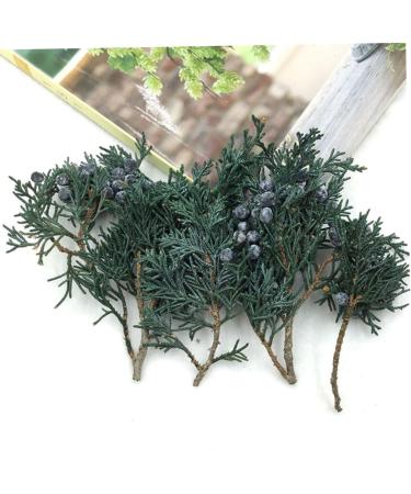 ABOOFAN 2 Pcs Pine Branch DIY Material Floral Boxes Wedding Decoration Christmas Pine Branches Household - Buy Online on GoSupps.com