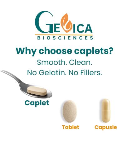 GeVica Biosciences Gokshura (Tribulus terrestris) USDA Organic 1500 mg per Serving Whole Herb Powder No Extract NPOP & BioAgriCert Certified 90 Caplets - Buy Online on GoSupps.com