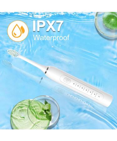 Rechargeable Electric Toothbrush - 6 Modes IPX7 Waterproof Lightweight Sonic Toothbrush for Adults & Kids 4 Replacement Heads & Timer | Best International Shipping - Buy Online on GoSupps.com