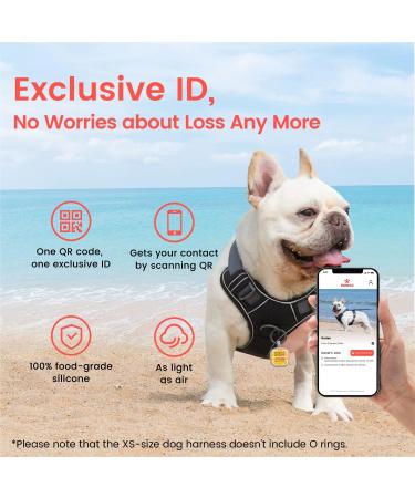 Shop Pawaii XS Dog Harness for Small Dogs - Anti-Pull Reflective Adjustable & Breathable with Handle | Ideal for Comfort & Control - Davys Gray - Buy Online on GoSupps.com