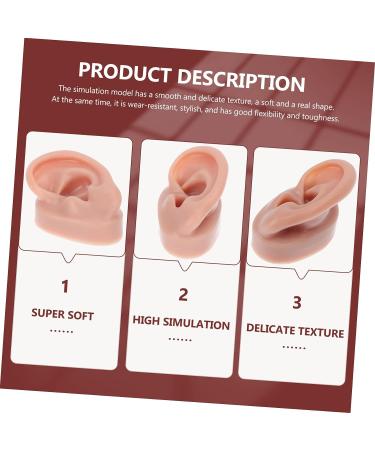 Silicone Human Ear Model for Massage, Piercing, and Simulation | Ear Display Body Kit | Healeved 6.5x3.5cm - Buy Online on GoSupps.com