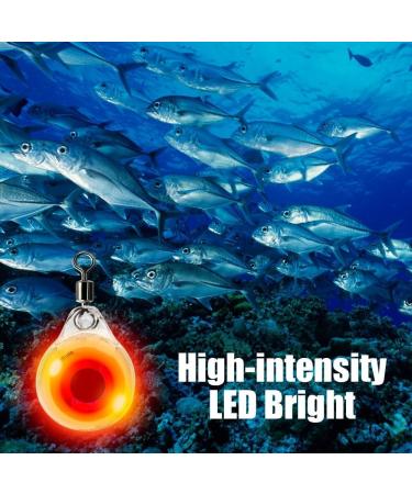 6-Piece LED Underwater Fishing Light | Fish Attracting Night Light for Boat Sea & Ice Fishing - Green - Buy Online on GoSupps.com