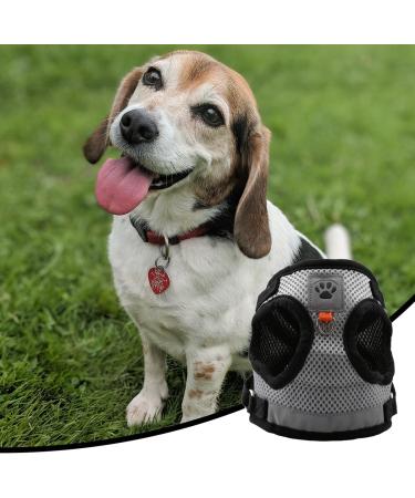 Luckious Brand Cat Harness and Lead Set - Escape-Proof Walking Vest with Leash for Small to Medium Cats (Grey S/M/L) - Buy Online on GoSupps.com