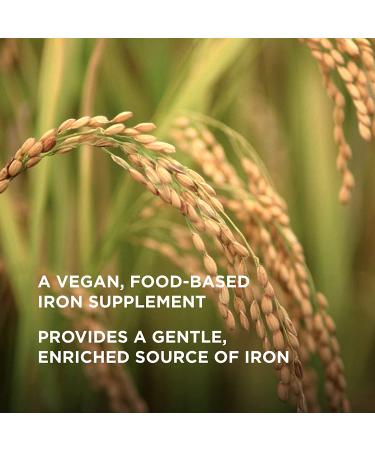 Solgar EarthSource Koji Iron 27mg - 60 Veg Capsules | Fermented Food Supplement - Buy Online on GoSupps.com