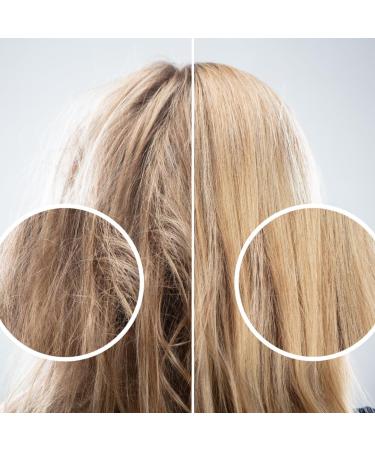 Lady Venezia - Linseed Oil for Hair - Treatment for Frizzy and Damaged Hair - 100 ml - Smoothing Nourishing Oil - Made in Italy - Buy Online on GoSupps.com