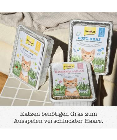 GimCat Hydro Grass - Certified Fresh Cat Grass Ready in 5-8 Days - 1 Punnet (150g) - Buy Online on GoSupps.com
