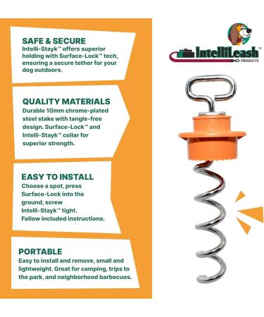 Buy Intelli-Stayk Mini Dog Pile | Locking Technology | Durable & Portable Dog Stakes - International Shipping Available - Buy Online on GoSupps.com