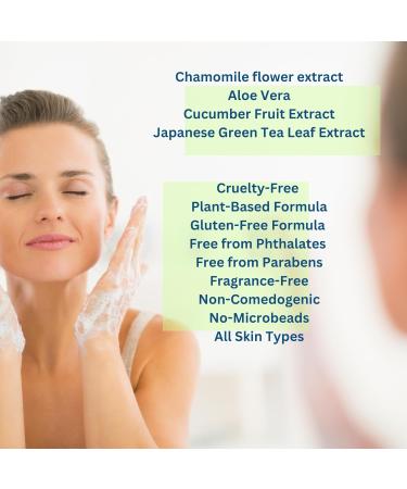 Deme-Tea Japanese Green Tea 2 in 1 Make-Up Remover & Facial Cleanser | Aloe Vera Cucumber Extract Plant-Based | Made in USA - Buy Online on GoSupps.com