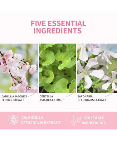 BREYLEE Eyelash Extension Cleanser 60ML - Paraben & Sulfate Free Foam Cleanser for Extensions & Natural Lashes - Salon and Home Use - Includes Mascara Wand - 2 Fl Oz - Buy Online on GoSupps.com