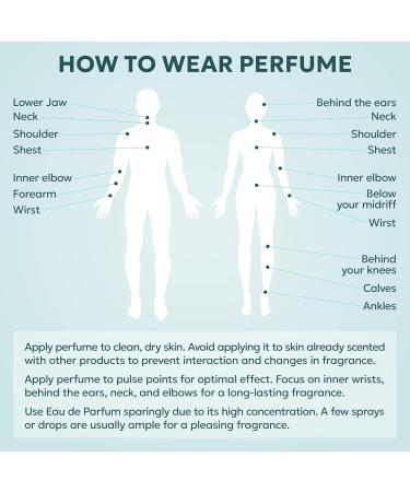 TWINS Impression of Portrait Of A Lady | Perfume for Women Eau de Parfum | No.31214 | 3.4 Fl Oz / 100 ml Frederic Malle Portrait Of A Lady Impression - Buy Online on GoSupps.com