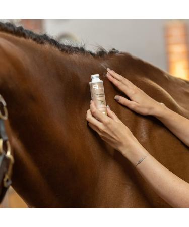 SUNRIDE Horse Care Oil (Herbal Healing) 100 ML for irritations wounds skin rashes - Buy Online on GoSupps.com