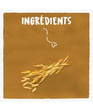 BJORG - Whole Rice Drink - Organic Vegetable Drink - Source of Fiber - 1L - Buy Online on GoSupps.com