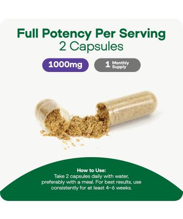 Axis Natural Brain Supplement with Curcumin C3 Complex Bacopin and Lion's Mane Extract - Brain & Gut Health Support Focus Energy Stress Relief - 60 Capsules All-Natural Med Free Living (1) - Buy Online on GoSupps.com