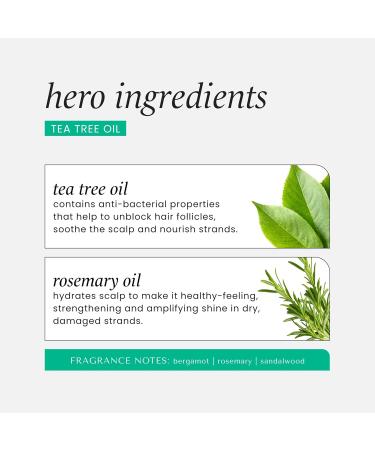 Tea Tree & Rosemary Invigorating Shampoo 355 Ml 355 ml (Lot de 1) - Buy Online on GoSupps.com