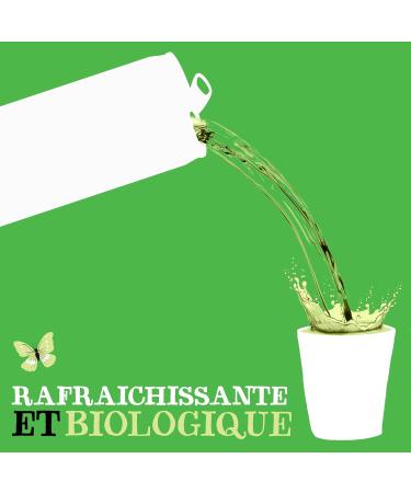 CLIPPER - Organic Refreshing Drink - Fusion Lemon Lime Mint - No added sugar - 25cl x 12 - Buy Online on GoSupps.com