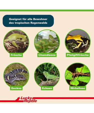 Buy Lucky Reptile JB-10 Jungle Bedding - 10L Substrate for Tropical Terrariums | International Shipping - Buy Online on GoSupps.com
