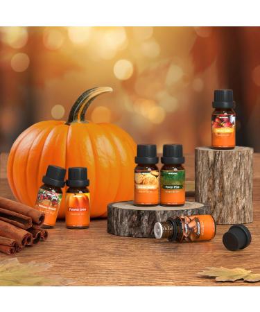 Autumn Fragrance Oil Set - ARVIDSSON Essential Oils for Diffuser & Candle Making | Pumpkin Spice Cinnamon Spiced Cider & More - Buy Online on GoSupps.com