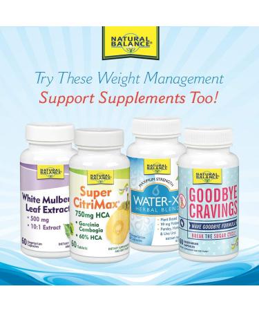 Natural Balance Super Chitosan 3000 - 120 Veg Capsules for Weight Management - Buy Online on GoSupps.com