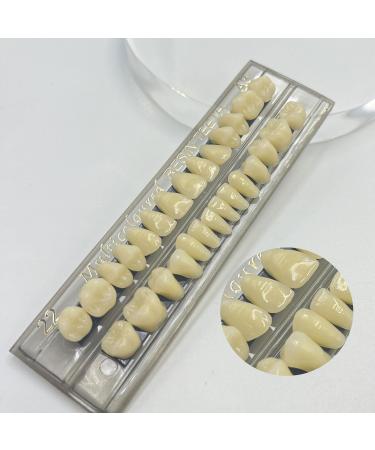 56 Pcs False Teeth Fake Teeth 2 Sets Synthetic Resin Dental Tooth Upper Lower Denture Tooth Party Horror Prop Makeup DIY Replacement 22 A3 - Buy Online on GoSupps.com