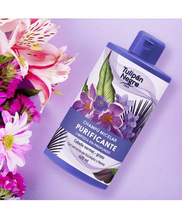 TULIPAN NEGRO Purifying Micellar Shampoo with Mint & Eucalyptus | 13.5 Fl Oz | International Shipping Available - Buy Online on GoSupps.com