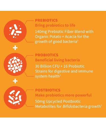 Garden of Life Dr Formulated Probiotics 30 Billion CFU Pre + Pro + Postbiotics for Men and Women Digestive and Immune Support Potato Acacia Postbiotic Metabolites 30 Mini Vegetarian Capsules - Buy Online on GoSupps.com