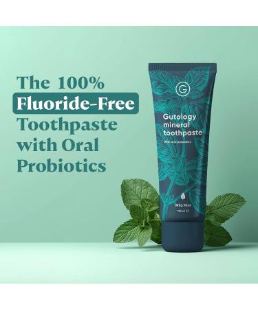 Natural Probiotic Hydroxyapatite Toothpaste | Fluoride-Free | Remineralizing for Adults & Children | Sensitive Teeth & Whitening | Wild Mint Flavor | 120ml (4.2 Oz - Buy Online on GoSupps.com