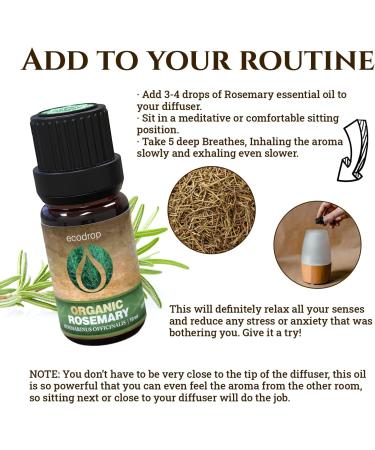 Certified Organic Rosemary Essential Oil 10ml - 100% Pure Therapeutic Grade for Aromatherapy, Massage & Hair Care | Includes e-Book - Buy Online on GoSupps.com