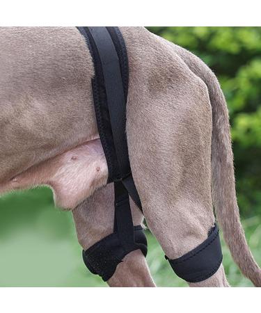 Dog Knee Brace Skin Friendly Polyester Dog Knee Support Brace Elastic for Daily Use for Back Legs (S) - Buy Online on GoSupps.com