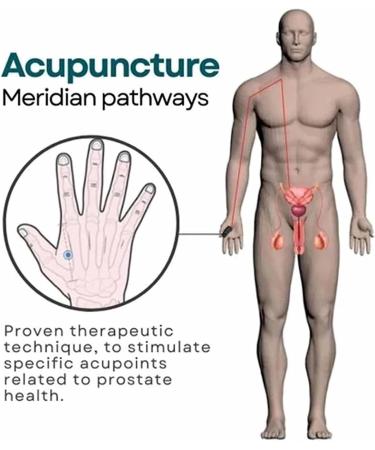 Prostate Care Point Clip - Acupressure for Blood Circulation & Discomfort Relief | Migraine & Kidney Care (2PCS) - Buy Online on GoSupps.com