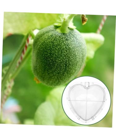 SUPVOX Heart Shaped Watermelon Molds Fruit Vegetable Mould Vegetable Forming Cucumber Shaper - Buy Online on GoSupps.com