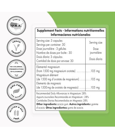 Supersmart Potassium Bicarbonate and Magnesium Orotate Bundle - Mineral Support | Non-GMO, Gluten Free - Vegetarian Capsules - Buy Online on GoSupps.com