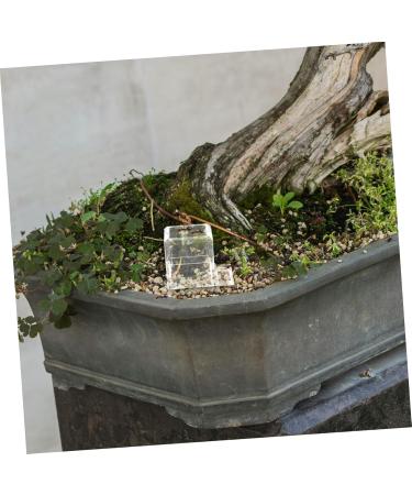 BESPORTBLE 2pcs Pet Water Feeder Ants Feeding Bowl Ants Nest Water Feeder Ants Water Feeding Plastic - Buy Online on GoSupps.com