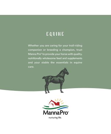 Manna Pro USA Purple Corn Chicken Scratch | Duck Food & Chicken Supplies | 10lbs - Buy Online on GoSupps.com