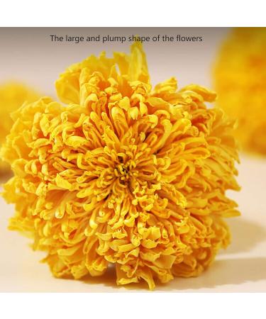 Chrysanthemum Tea 150g Chrysanthemum Tea Big Rhubarb Flower Yellow Chrysanthemum Tea Loose Leaf Edible yellow tea - Buy Online on GoSupps.com