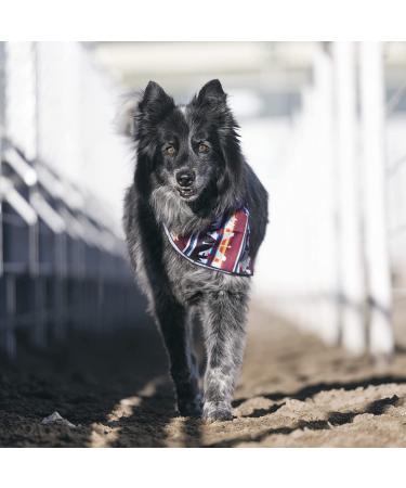 HOOEY Mercantile Dog Bandana - Durable Polyester Bandana with Graphic-Inspired Prints - Totem Design - Buy Online on GoSupps.com