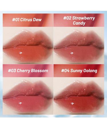 Buy Plumping Lip Gloss | Metallic Brush Lip Gloss | Moisturizing Jelly Lip Stain | Long-Lasting High Shine Korean Lip Makeup - Buy Online on GoSupps.com