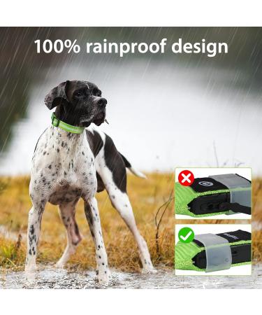 Masbrill LED Dog Collar - Luminous Waterproof Safety Collar with 3 Flashing Lights for Small Medium & Large Dogs (Adjustable 28-40cm/11-15.7in) - Green - Buy Online on GoSupps.com