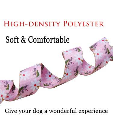 Mihqy Adjustable Dog Collar - Soft Comfort Design with Bohemian Flowers for Small Medium & Large Dogs | XS Size (20-30 cm Neck) - Buy Online on GoSupps.com