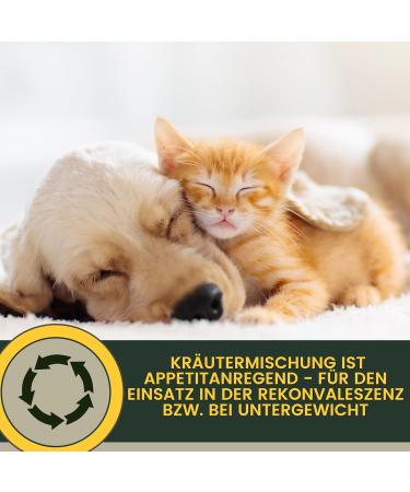 Hustens Juice for Dogs | Thyme & Anise Cough Remedy | Herbal Expectorant for Bronchial Relief | 100ml Airway Calming Solution - Buy Online on GoSupps.com