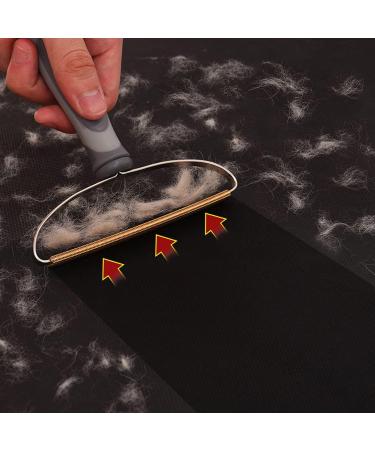 Airbee Reusable Pet Hair Remover | Best Dog & Cat Hair Remover Tool for Couch Rugs Pet Beds & Car Mats - Easy & Effective Cleaning Solution - Buy Online on GoSupps.com