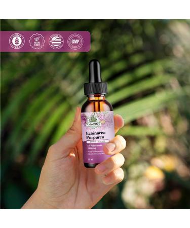 Amazing Botanicals Echinacea Purpurea Extract Tincture - 3,000mg Herbal Liquid Supplement Extract for Immune System Support - High Strength Formula with Natural Antioxidant for Overall Wellbeing - Buy Online on GoSupps.com