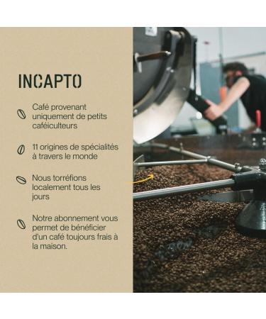 Incapto Specialty Coffee Beans | Origin Ethiopia | 100% Arabica | Specialty Coffee 86.5 SCA points | Artisanal Roasting | Domaine Limu Moplaco | 1kg Pack - Buy Online on GoSupps.com