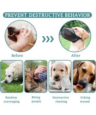 Premium Dog Muzzle - Adjustable Soft Cover for Small Medium & Large Dogs | Poisoned Bait Protection Bite & Chew Prevention (Snout 8 - 9 ) - Buy Online on GoSupps.com