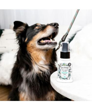 Poo-Pourri Pawsitively Fresh Pet Odor Eliminator Spray - Travel Size 1.4 Fl Oz - Buy Online on GoSupps.com
