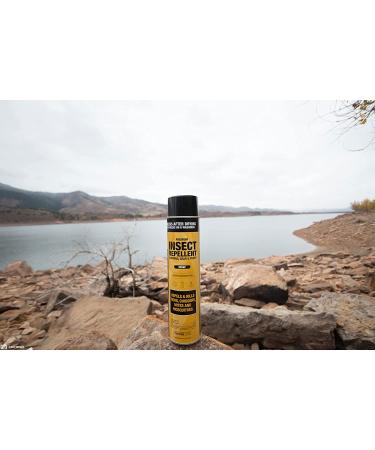 Sawyer SP618 Premium Permethrin Insect Repellent Aerosol Spray - 18 oz | For Clothing, Gear, Tents | Long-lasting Protection - Buy Online on GoSupps.com