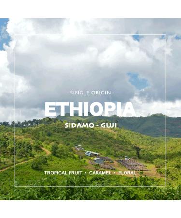 Organic Ethiopian Sidamo Guji Green Coffee Beans - 3 lbs Unroasted - Specialty Grade 1 Arabica - Fresh Crop Blueberry, Blackberry, Chocolate, Cherry - Single Origin - 3 lb Pack - Buy Online on GoSupps.com