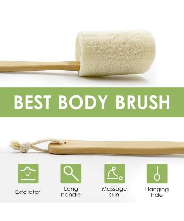 Shellvcase Loofah Back Scrubber on a Stick with Natural Sponge | Exfoliating Body Scrubber for Men & Women | Long Wooden Handle | 2 Pack - Buy Online on GoSupps.com