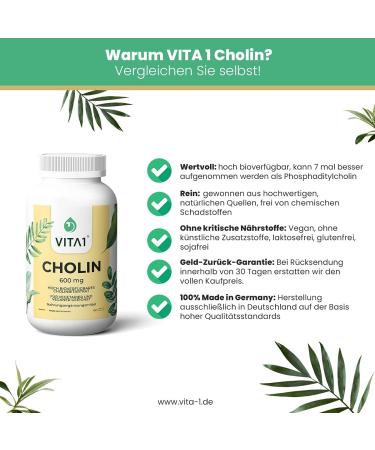 Choline 600mg Capsules - Supports Normal Fat Metabolism | Vegan & Vegetarian | VITA1 - 60 Capsules - Buy Online on GoSupps.com